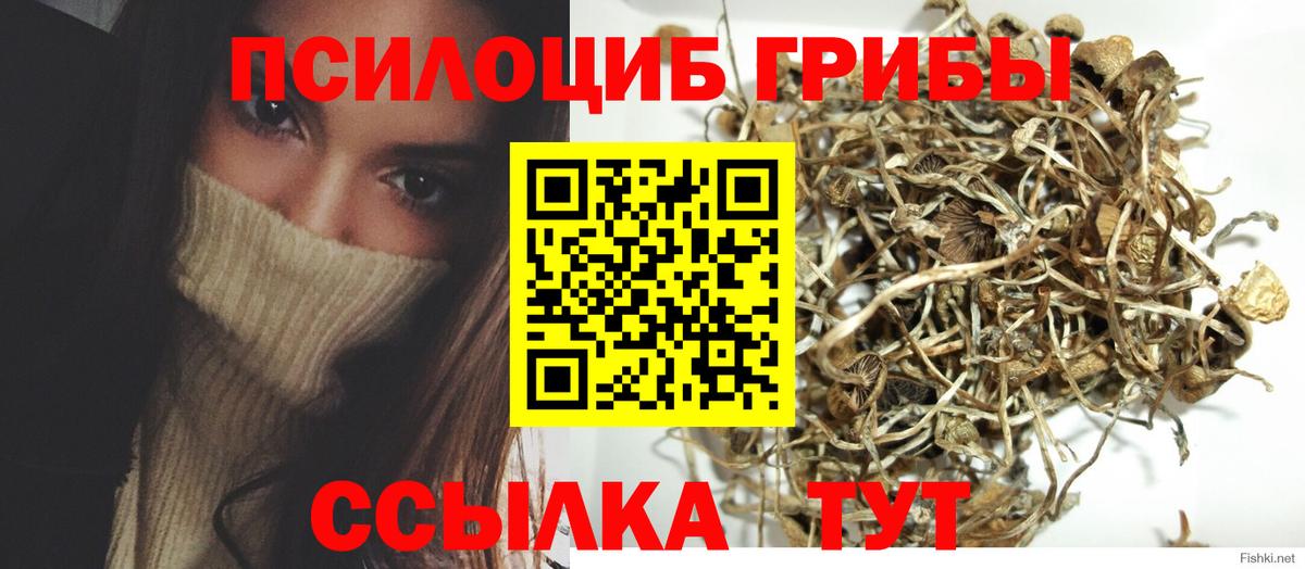 Псилоцибиновые грибы MAGIC MUSHROOMS Сухой Лог