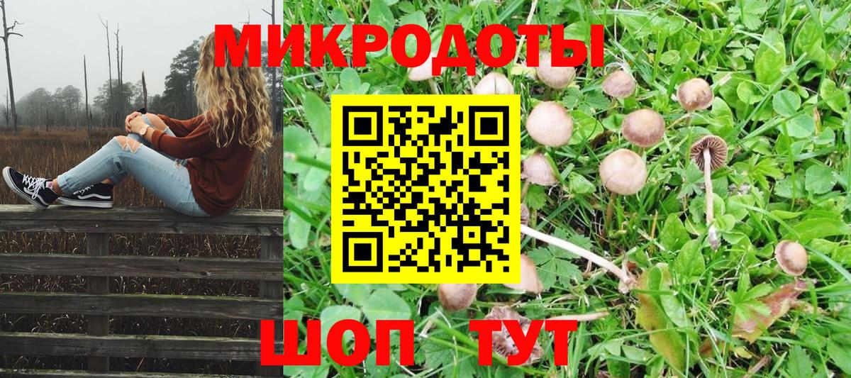 Галлюциногенные грибы Psilocybine cubensis  Псилоцибиновые грибы мицелий  Сухой Лог  Вход с VPN 