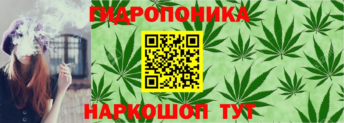 Марихуана Bruce Banner Сухой Лог
